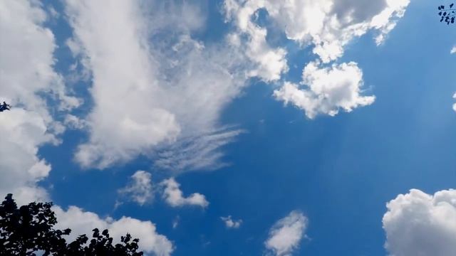 Мирослав Скорик Краще / Myroslav Skoryk. Best смотреть онлайн