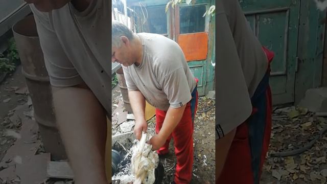 Перощипальная машинка своими руками смотреть онлайн