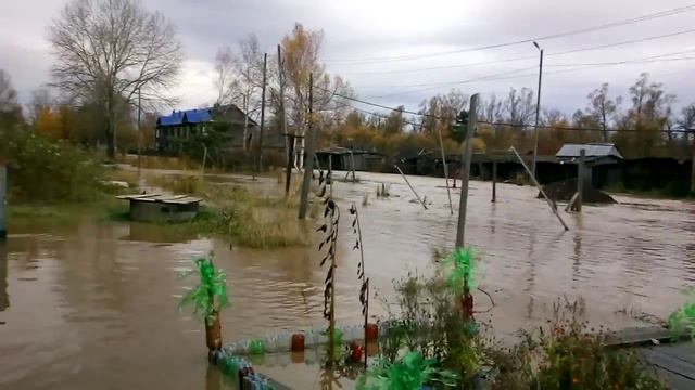 10.10.2015 На Сахалине затопило поселок. ЧС. смотреть онлайн