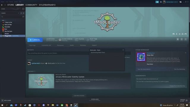 terraria tmodloader not working NEED HELP!!!! смотреть онлайн