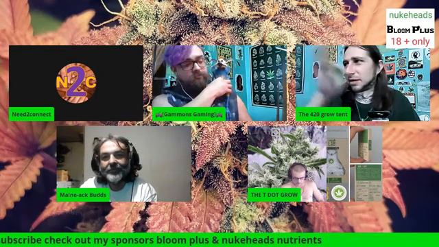Fire in the bong / sponsored by #Bloom_plus and #nukeheads_nutrients смотреть онлайн