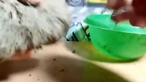 МАКУХА СВОИМИ РУКАМИ|11-30 РУБЛЕЙ|COOLFISHING