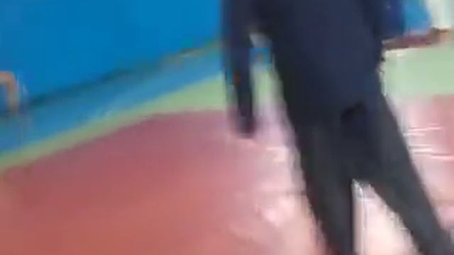 Дзюдо смотреть онлайн