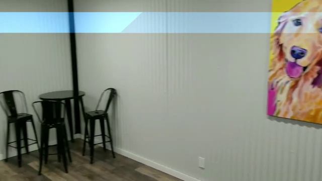 A quick tour of the Sit Means Sit Dog Training Colorado Springs facility! смотреть онлайн