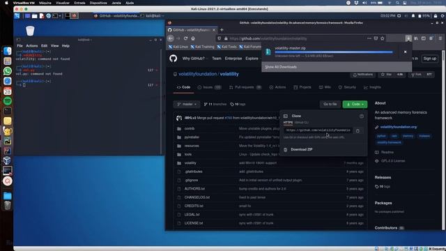 Como Usar o Volatility no Kali Sem Instalar смотреть онлайн