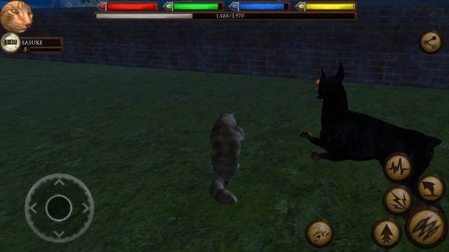 Симулятор КОШЕК #3 Пушистый котик против Боссов в Ultimate Cat Simulator с Кидом на пурумчата смотреть онлайн