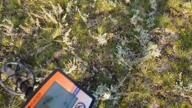 Инструкция! Металлоискатель  Gold Hunter GoldForce F19