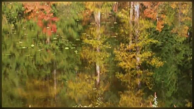 Золотая осень смотреть онлайн