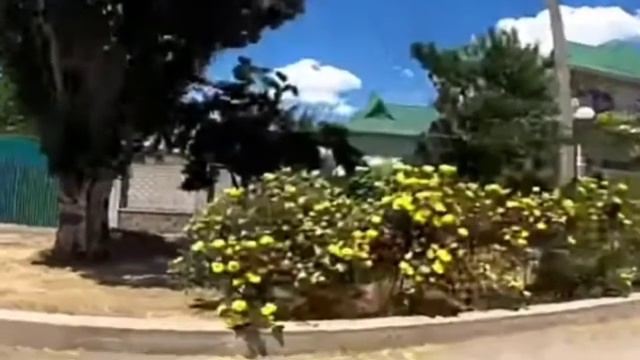 ХЕРСОНСКАЯ ОБЛАСТЬ. ГЕНИЧЕСК. АЛЛЕЯ СКАЗОК. смотреть онлайн