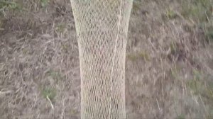 раколовка дорожка своими руками