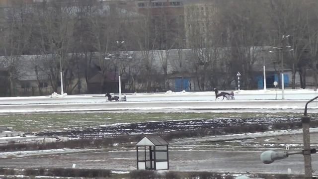 Московский ипподром. Бега. 16.02.14. Заезд 9(74). ПРИЗ В ЧЕСТЬ НОВОТОМНИКШВСКОГО КОННОГО ЗАВОДА смотреть онлайн