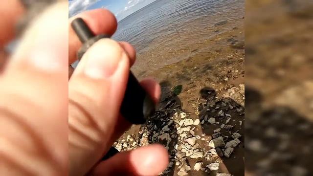 Проверяем сигналы металлоискателя на прогулке с лабрадором по берегу Волги смотреть онлайн