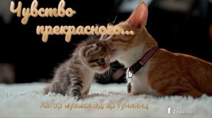 Чувство прекрасного  *