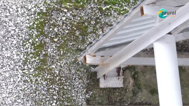 Курганцы стали меньше жаловаться на мусор и больше на бездействие управкомпаний смотреть онлайн