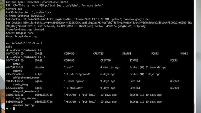 Docker Tutorial #5 - Wie bekomme ich eine Shell in meinen Container? смотреть онлайн