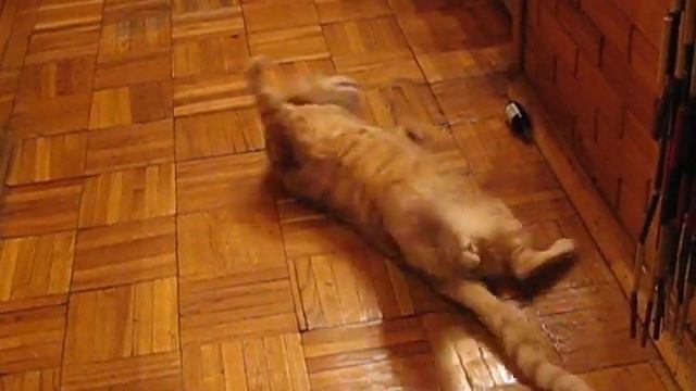 Кот под валерьянкой! смотреть онлайн