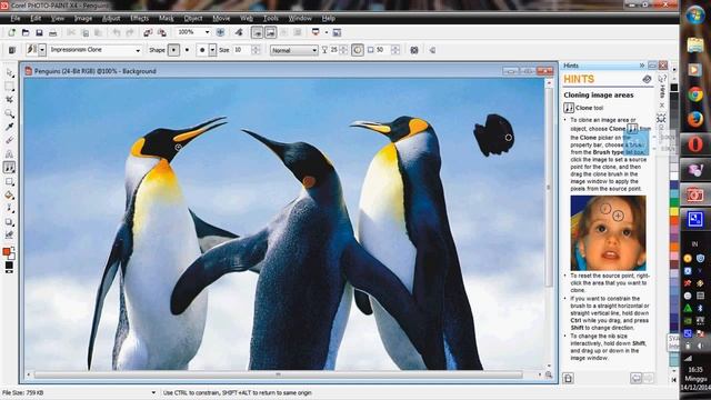 Belajar corel photopaint x4 cloning gambar objek смотреть онлайн