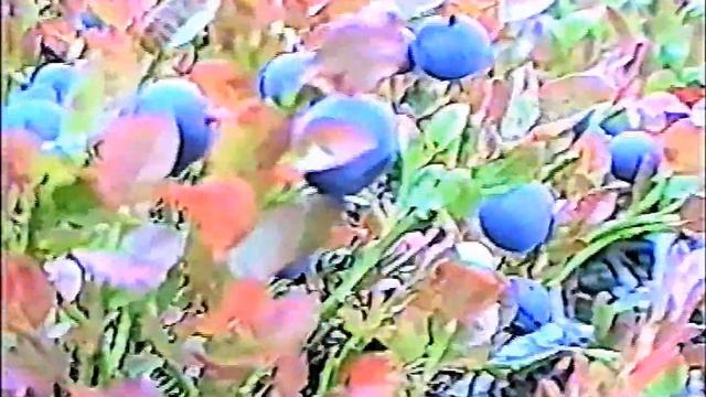 +Заполярье осенью смотреть онлайн