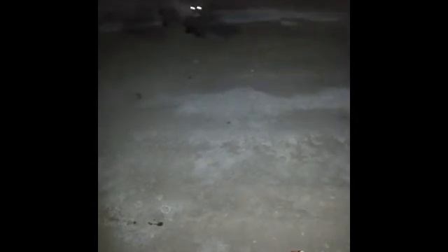 голодная степная лисица смотреть онлайн