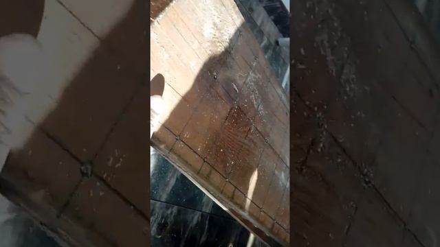 Как сажать редиску дениска смотреть онлайн