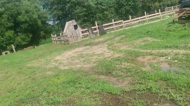 Сыр?, масло?, чуть чуть праздника ?, последствия дождя и ветра ???,. смотреть онлайн