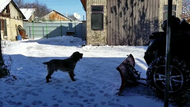 снегоуборочный отвал для квадроцикла фирмы storm квадроцикл cfmotox8 смотреть онлайн