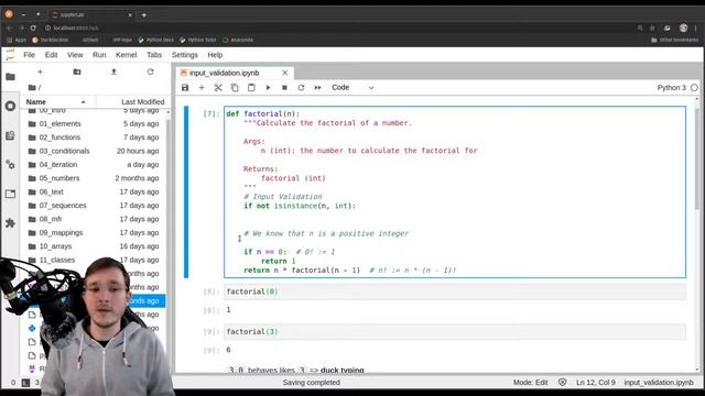 Validating input with the type checking & type casting strategies смотреть онлайн