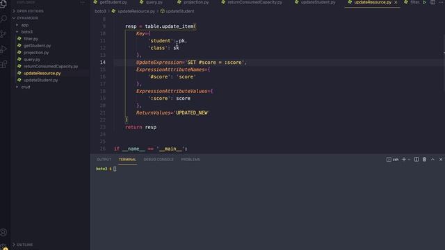 201 Update DynamoDB với Python Boto3 P9 | Update Item Using RESOURCE hands смотреть онлайн