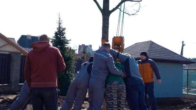 Озеленение частного участка смотреть онлайн