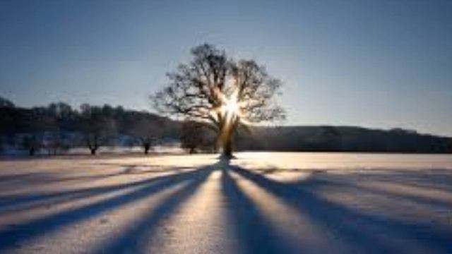 Peter Bradley-Fulgoni plays Bach: Prelude and Fugue in C sharp minor BWV849 смотреть онлайн