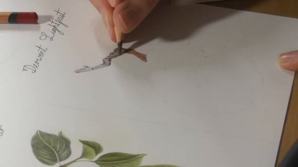 Derwent Lightfast, Artists, Coloursoft & Procolour Comparison