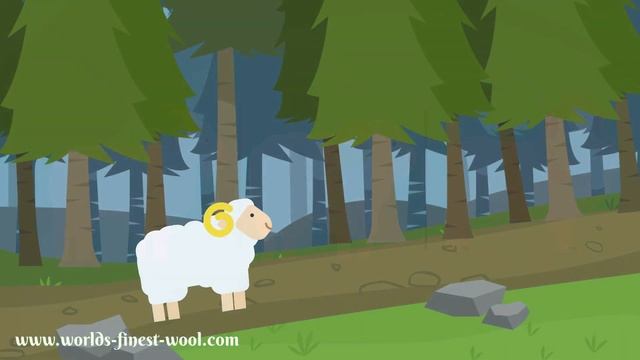 Merino Wool - Why merino wool is best for outdoor clothing! смотреть онлайн