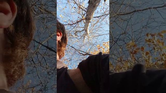 Где растут грибы в Северодвинске. Золотая пальмовая ветвь Каннского кинофестиваля. смотреть онлайн