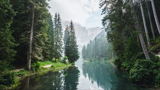 Медитация на восстановление артериального давления