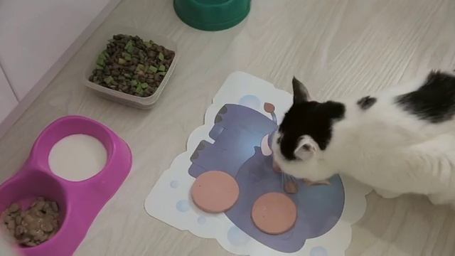 Абайлаңыз, импорт! Қайнатылған шұжықты қалай таңдаймыз? смотреть онлайн