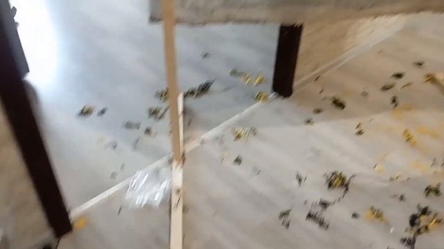 Тафтинг / Два коврика #тафтинг #tufting #tuftinggun #коврики