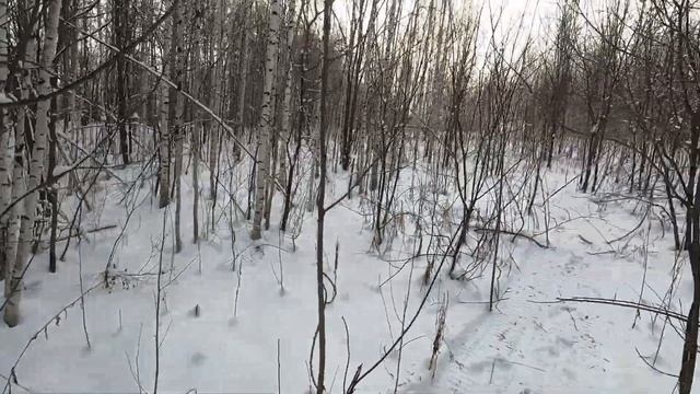 Ушел по колено в воду, заехал на гору, зимняя дача смотреть онлайн