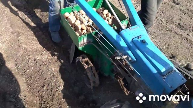 Посадка картофеля однорядной картофелесажалкой. смотреть онлайн