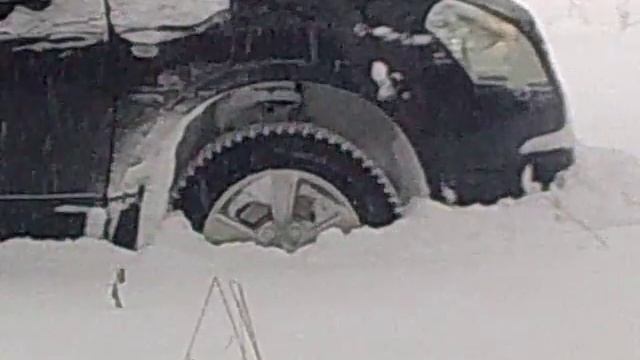 Nissan Qashqai и брянский лес (1) смотреть онлайн