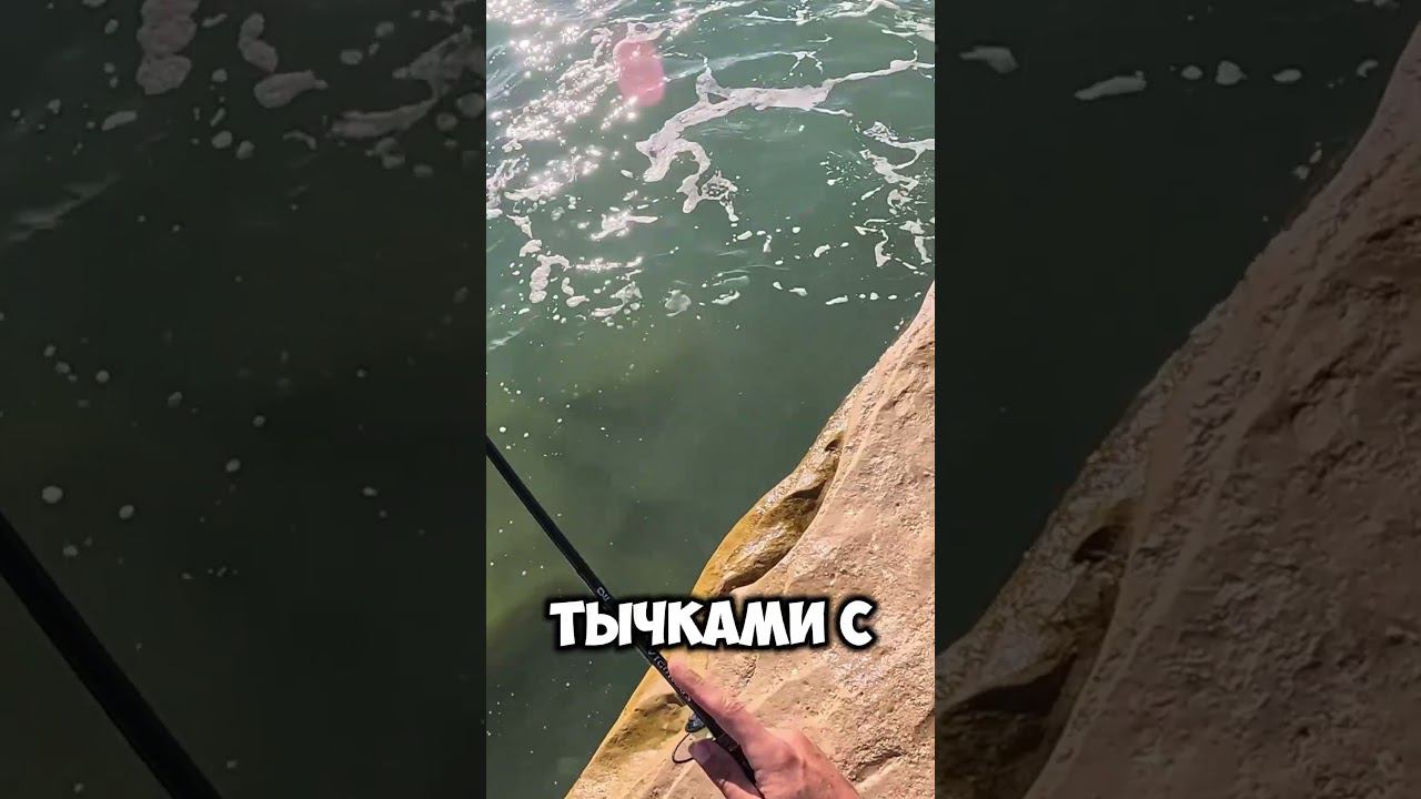 Как поймать ЛАСКИРЯ на Чёрном море??? #крым #рыбалка #черноеморе #fishing смотреть онлайн