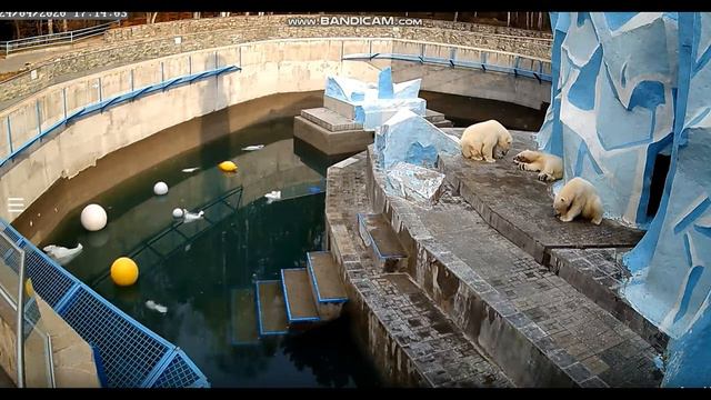 Все мои косточки отобрали 24.04.2020 смотреть онлайн