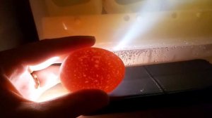 Пасхальное яйцо в инкубатор, зародыш в голубом Яйце, первый этап инкубации обработка и закладка яйц