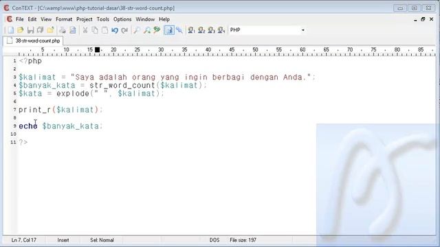 PHP Dasar Video Tutorial 038 String Word Count смотреть онлайн