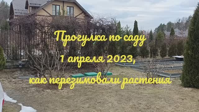 Прогулка по саду 1 апреля, Подмосковье, сезон 2023 смотреть онлайн