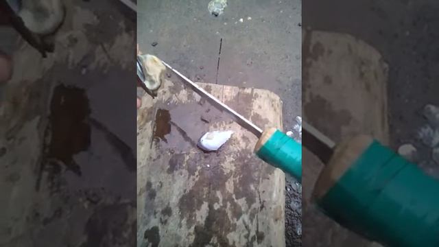 Загадка раскрыта!!! Что внутри ракушки?