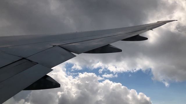 GORGEOUS B777-300ER LANDING | Turkish Airlines Approaching Izmir Adnan Menderes Airport смотреть онлайн