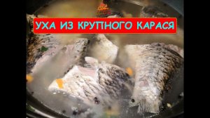 (Уха из крупного карася)