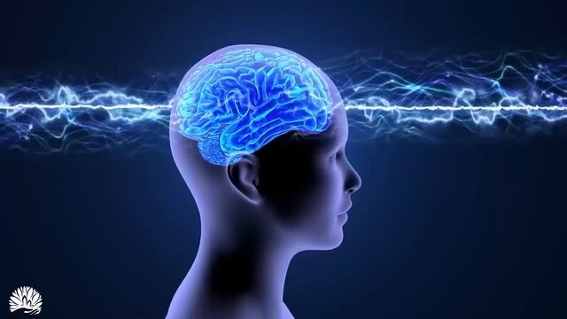 Boost brain power Boost intelligence, Support DNA Helps improve memory Restore Health смотреть онлайн