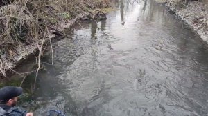 рыбалка на форель в Осетии!!#рыбалка#форель #родники#осетия#trout#fishing #мормышка#zemex