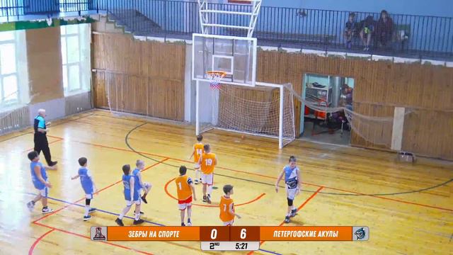 Зебры на Спорте - Петергофские Акулы / U8-U11 / 17.02.2024 смотреть онлайн